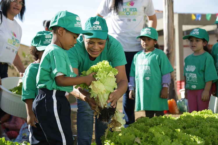  Estudantes de Itapevi iniciam colheita do projeto Horta Escolar Conexão Alelo