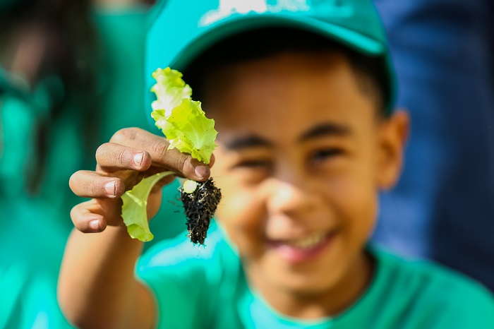  Escolas de Itapevi terão cardápio vegetariano às segundas-feiras