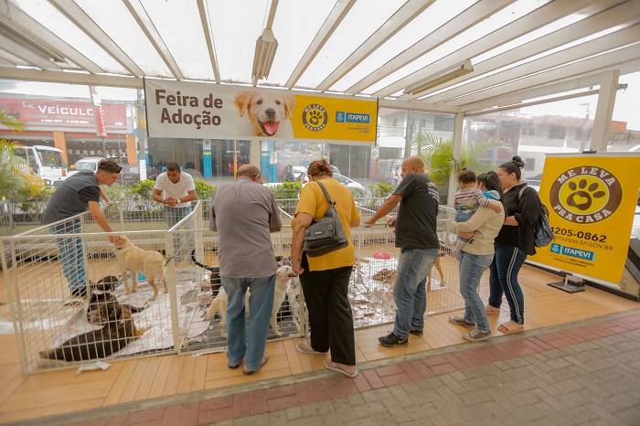  Itapevi realiza 19ª edição da Feira de Adoção de Cães e Gatos