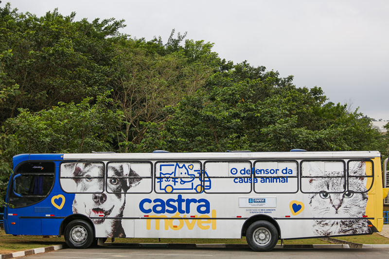  10ª Campanha de Castração Gratuita começa em Amador Bueno e Centro