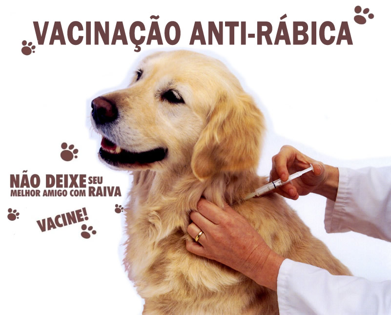  Começa campanha de vacinação anti-rábica em Itapevi